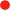 Red Loss Icon