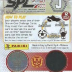 Panini Football 2008